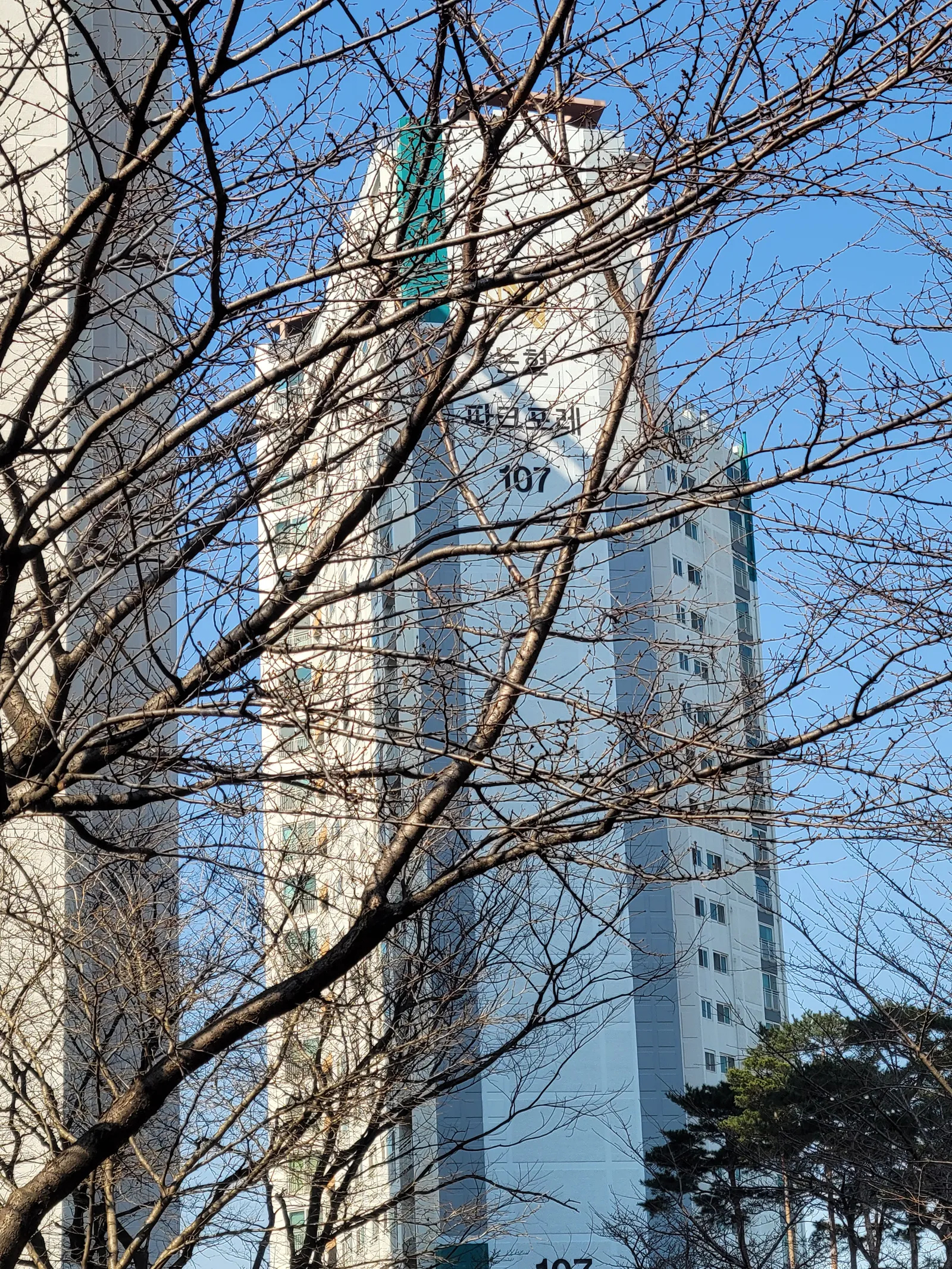 논현 파크 포레